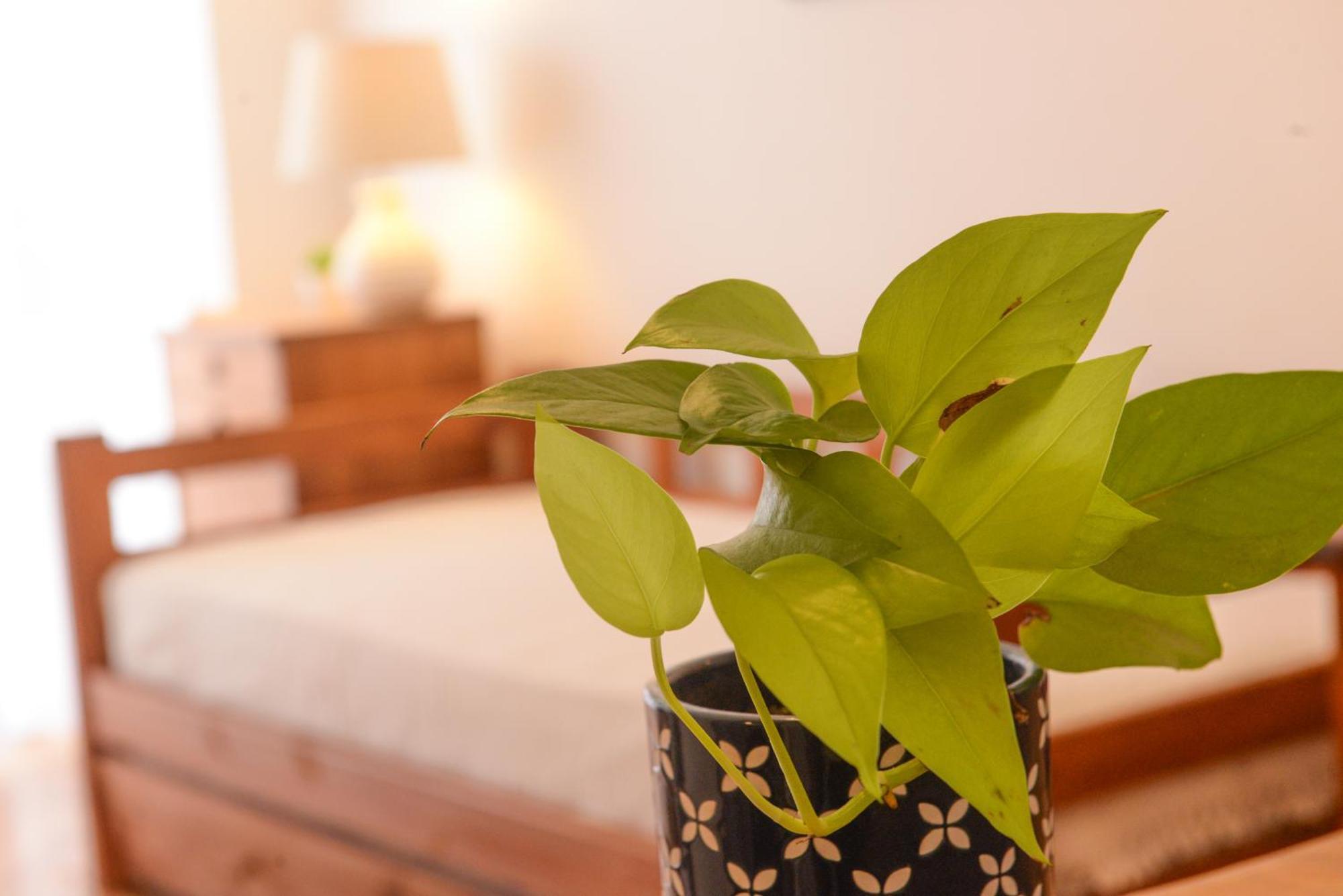 Imperdible En Palermo Botanico La Rural Seguridad 24Hs Apartment - Buenos Aires — Photos 3